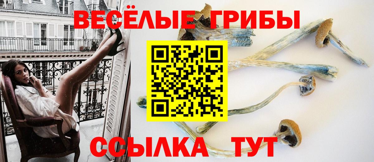 Галлюциногенные грибы MAGIC MUSHROOMS  Вход с VPN  Батайск 